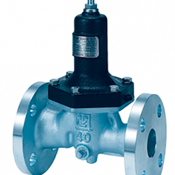 Van giảm áp Fushiman P100-3Y