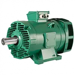 Động cơ điện Leroy Somer PLSES